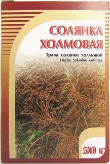 Солянка холмовая трава 50г хорст купить по выгодной цене в Москве ...