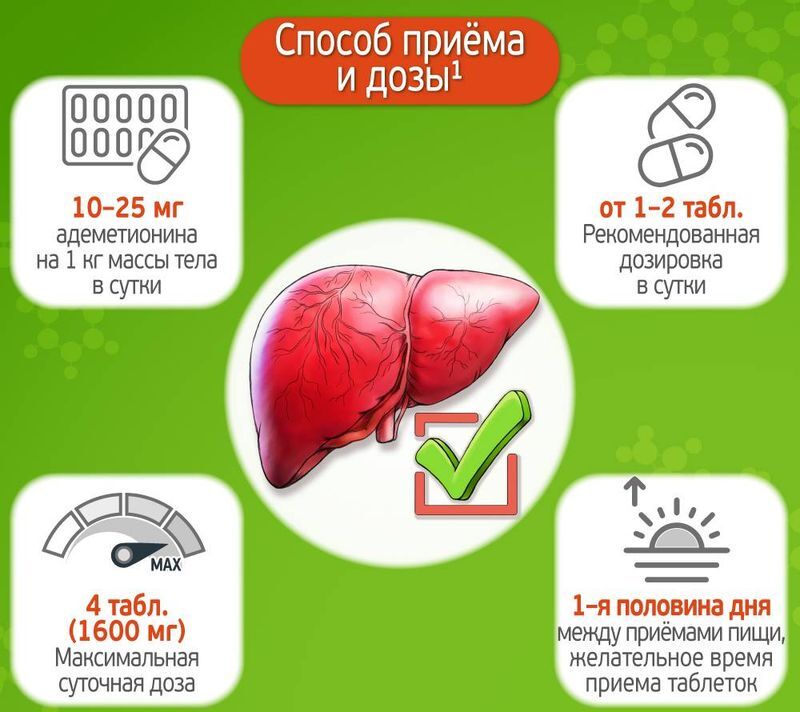 Гепцифол 400мг 20 шт. таблетки кишечнорастворимые, покрытые пленочной оболочкой, фото №7